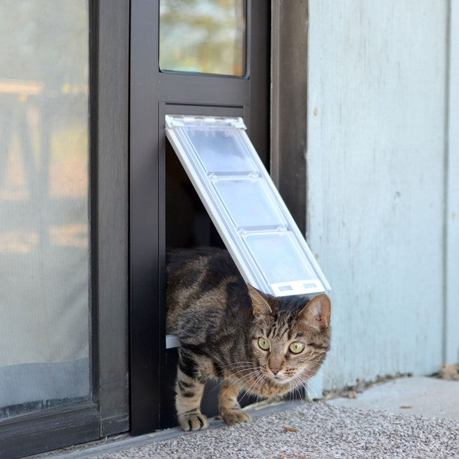 How To Train A Cat To Use A Cat Door ?