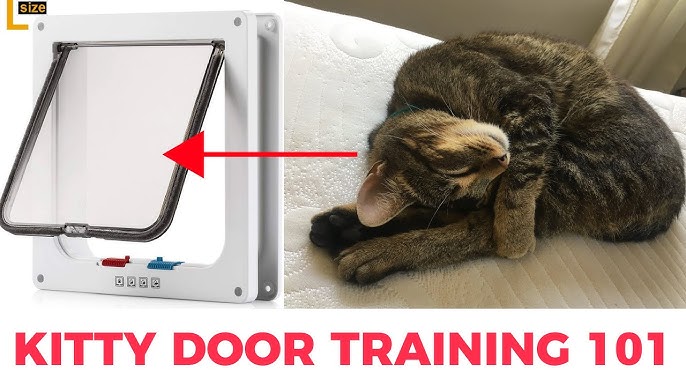 How To Train A Cat To Use A Cat Door ?