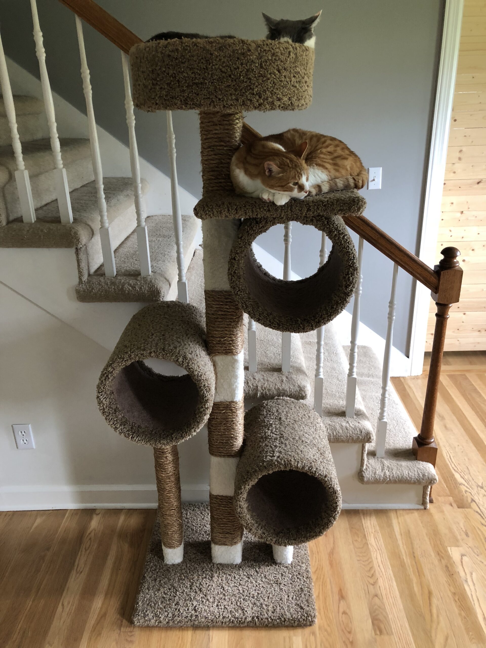 what to do with old cat tree 1 scaled